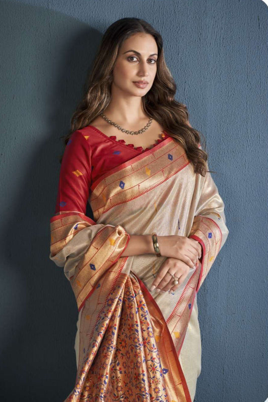 Pakistani Stitched Saree Latest Gorgeous Beige Color Wedding Wear Saree