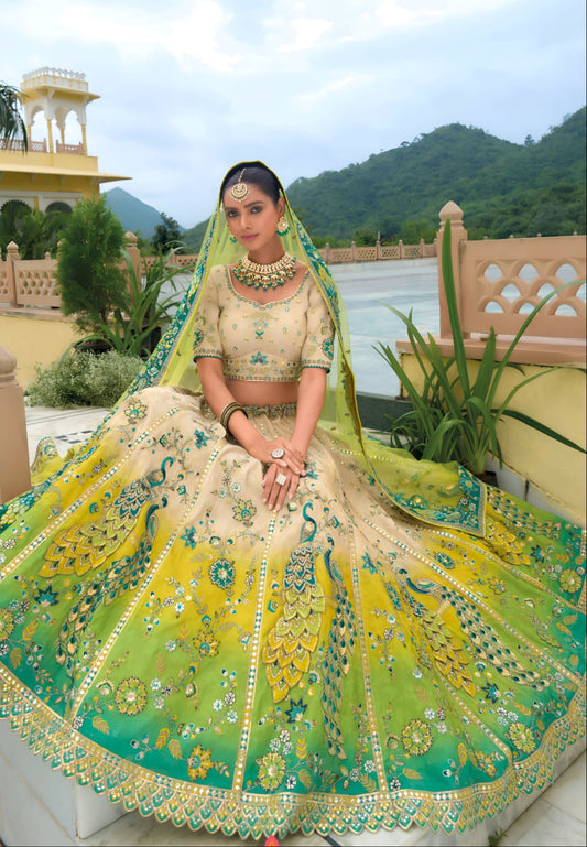 Pakistani Beautiful Designer Embroidery Lehenga Blouse with Dupatta