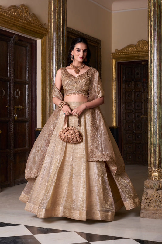 Indian Pakistani Wedding Function Wear Lehenga Choli With Net Dupatta