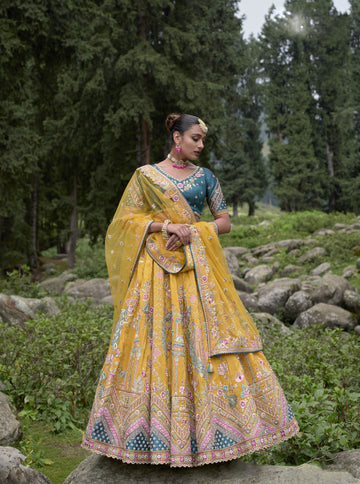 Indian Pakistani Function Wear Lehenga Choli With Net Dupatta