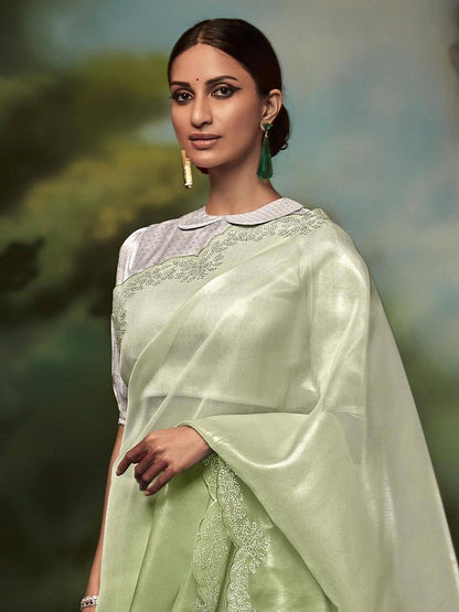 Stunning Light Green Patola Silk Wedding Function Wear Saree With Fancy Blouse